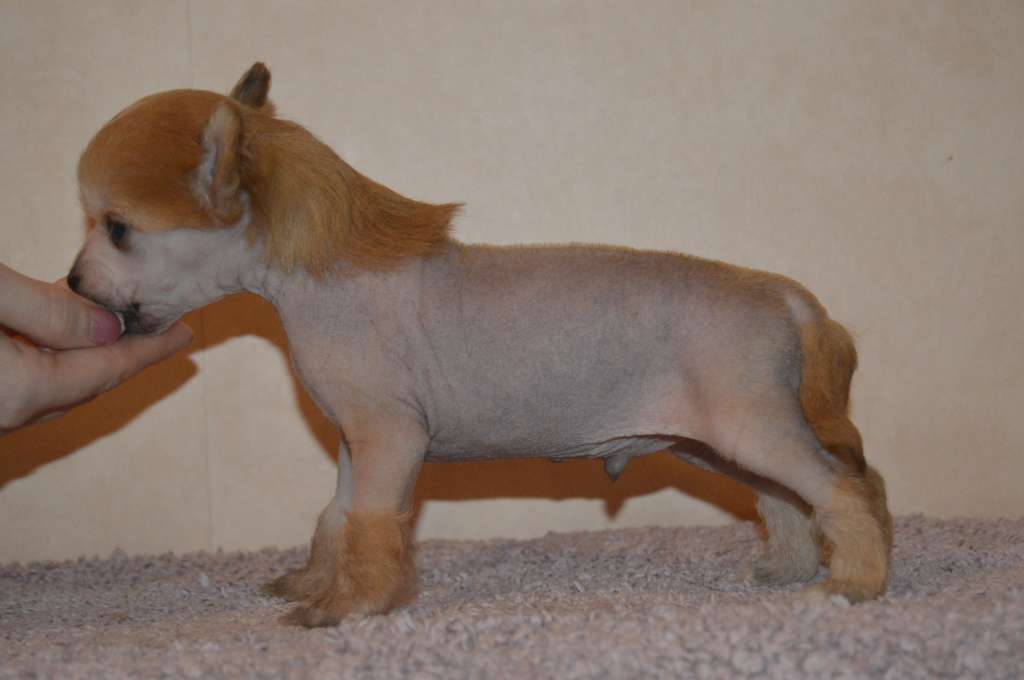 Pinky Twinky Sopivasti Super