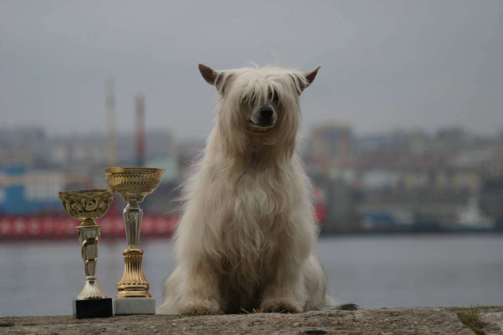 Rolana Family Arabella