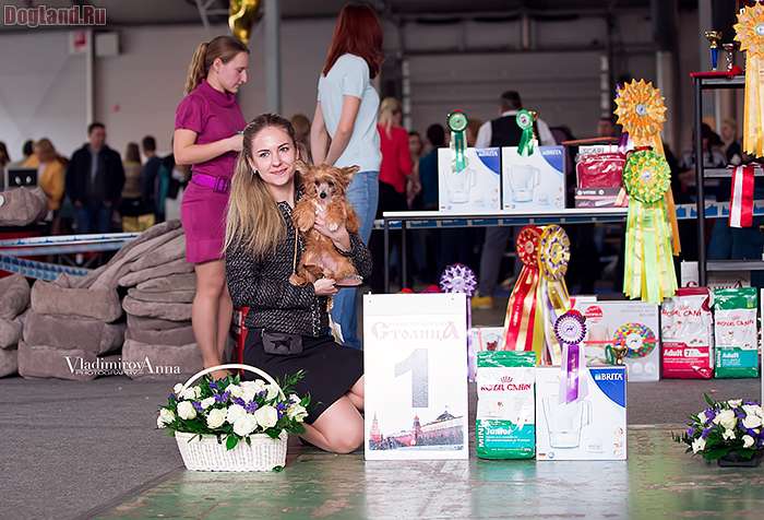 Rolana Family Toffifee