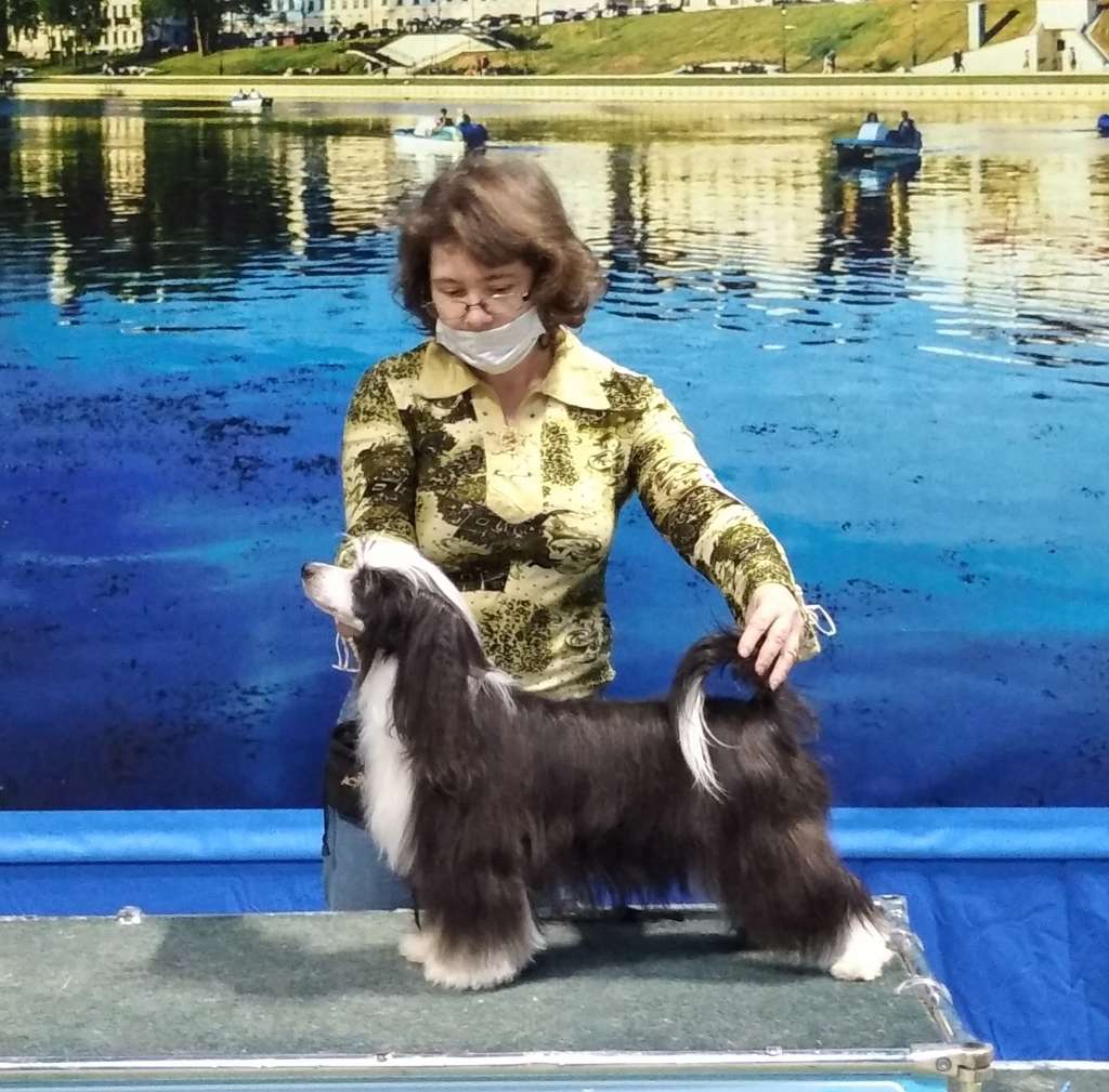 Energy Di BLACK STAR Serebryanogo Raya