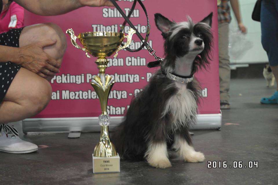 Fundoklia-völgyi Kaszanics Zefira