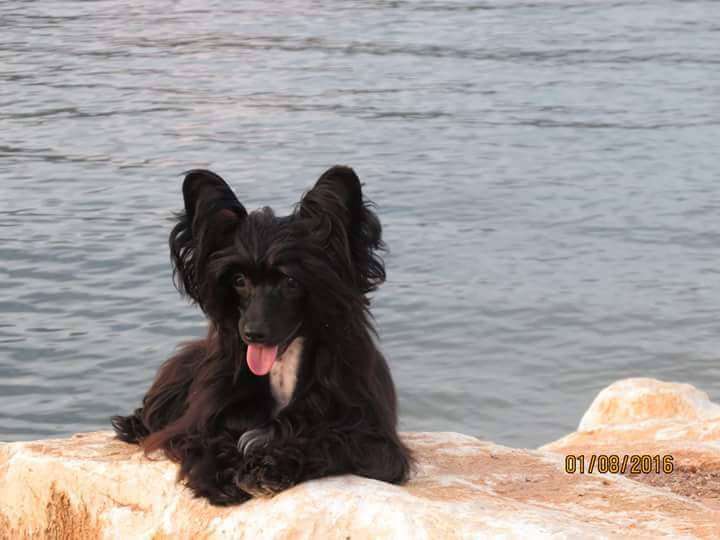 Energy Di Believe In Me