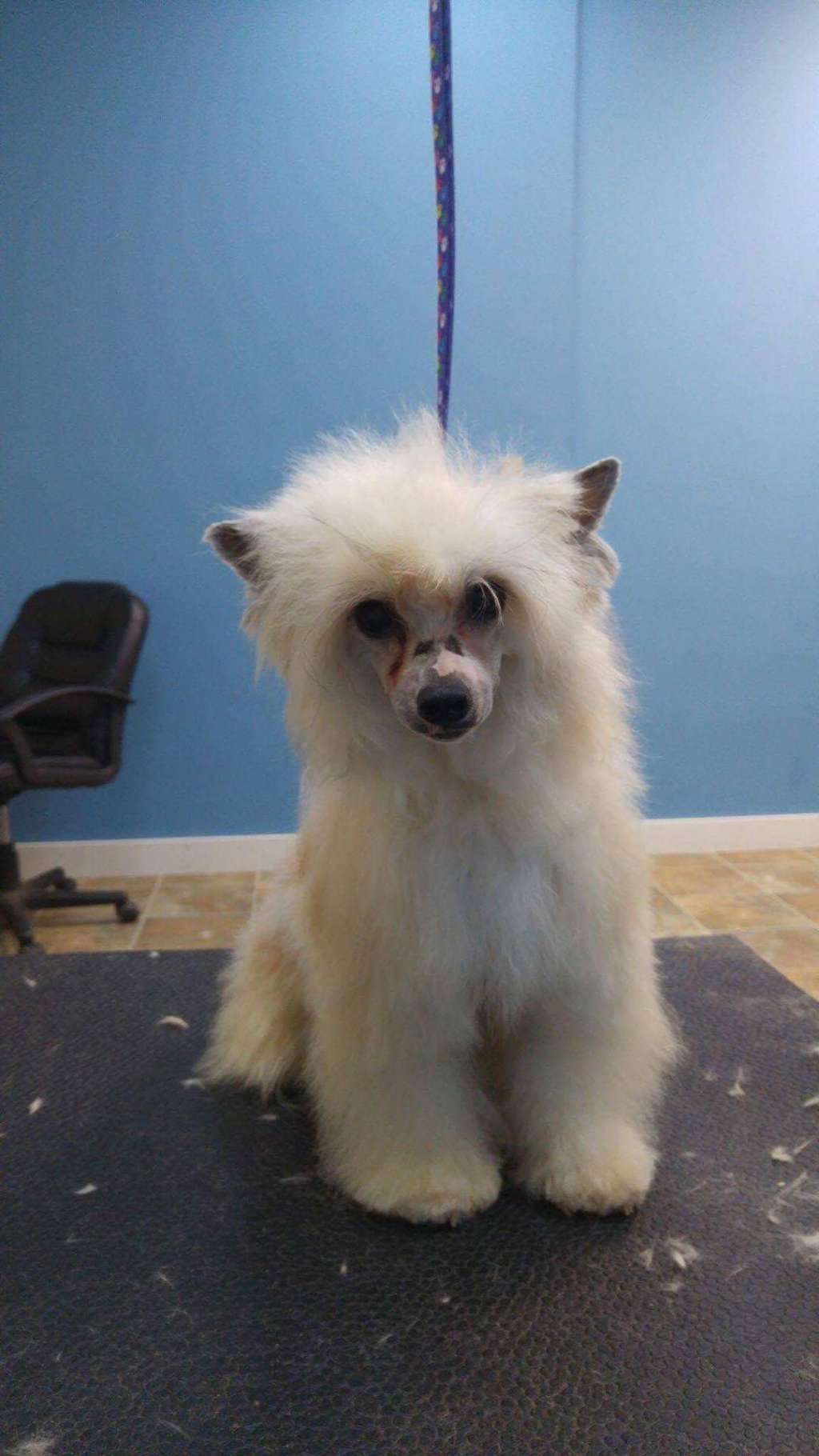 Secrethaven Surprise Twist