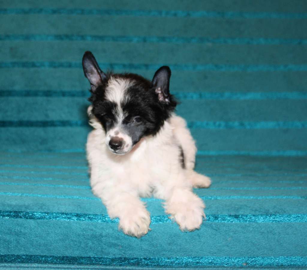 Charuyuschiy Soblazn Life is easy