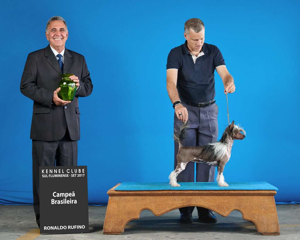 Dorothea Hl Of Avalon Land