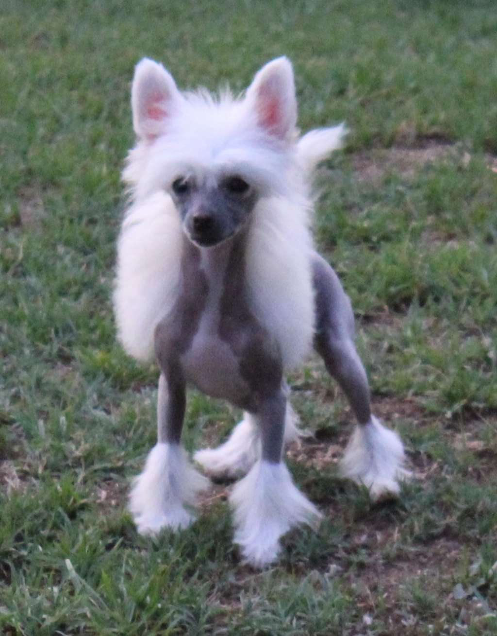 Fleetwood's Glitz and Glamour at Starrstalactite