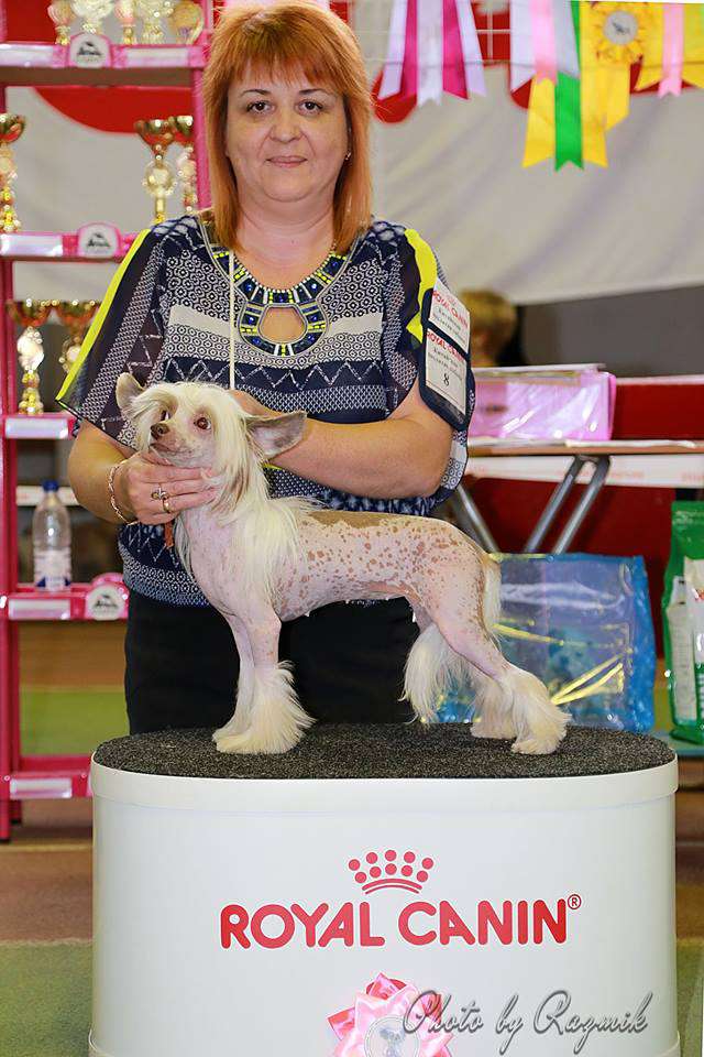 Bella Constanta Zlata Mira