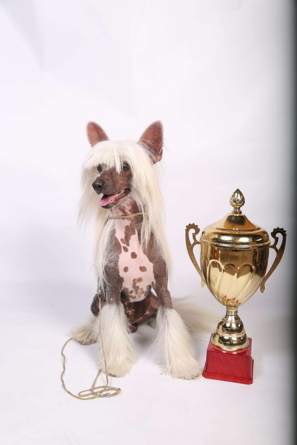 Zheneva-Debjut Juventus