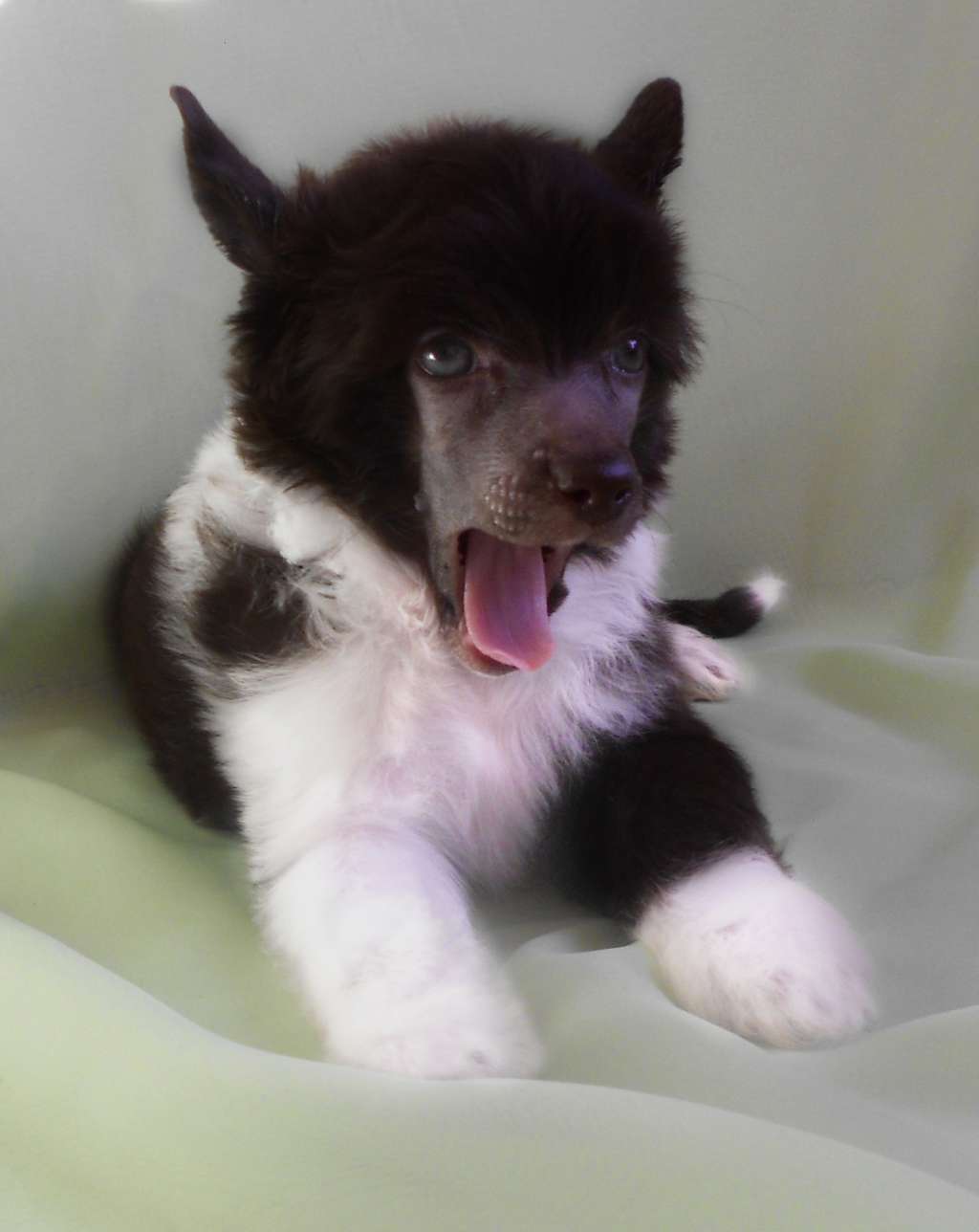 Irvina Vita Galadriel