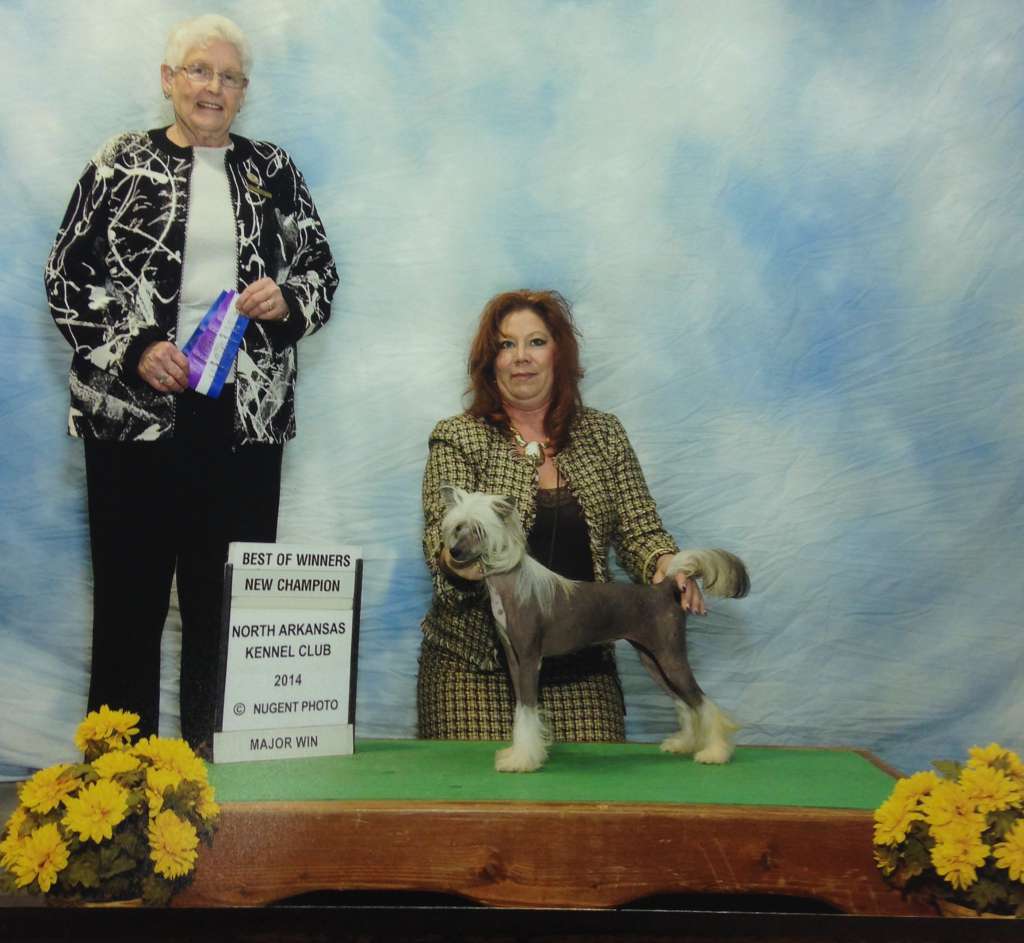 Edelweiss Hottie McHotters