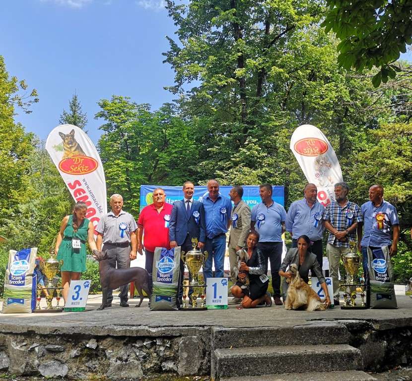 Andrea Gyöngye Aurora Adalie Borealis