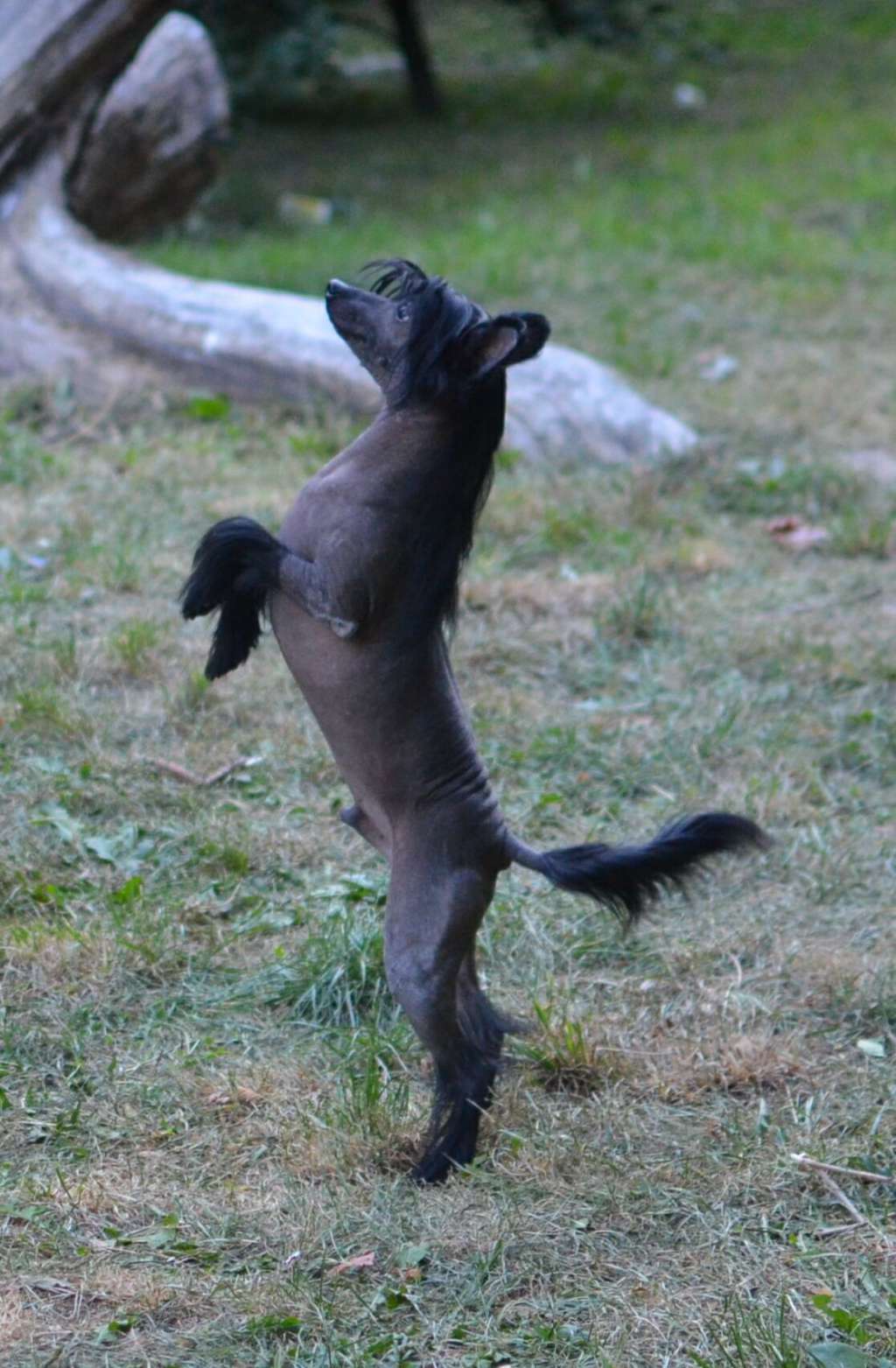 Magic of Success Time To Win