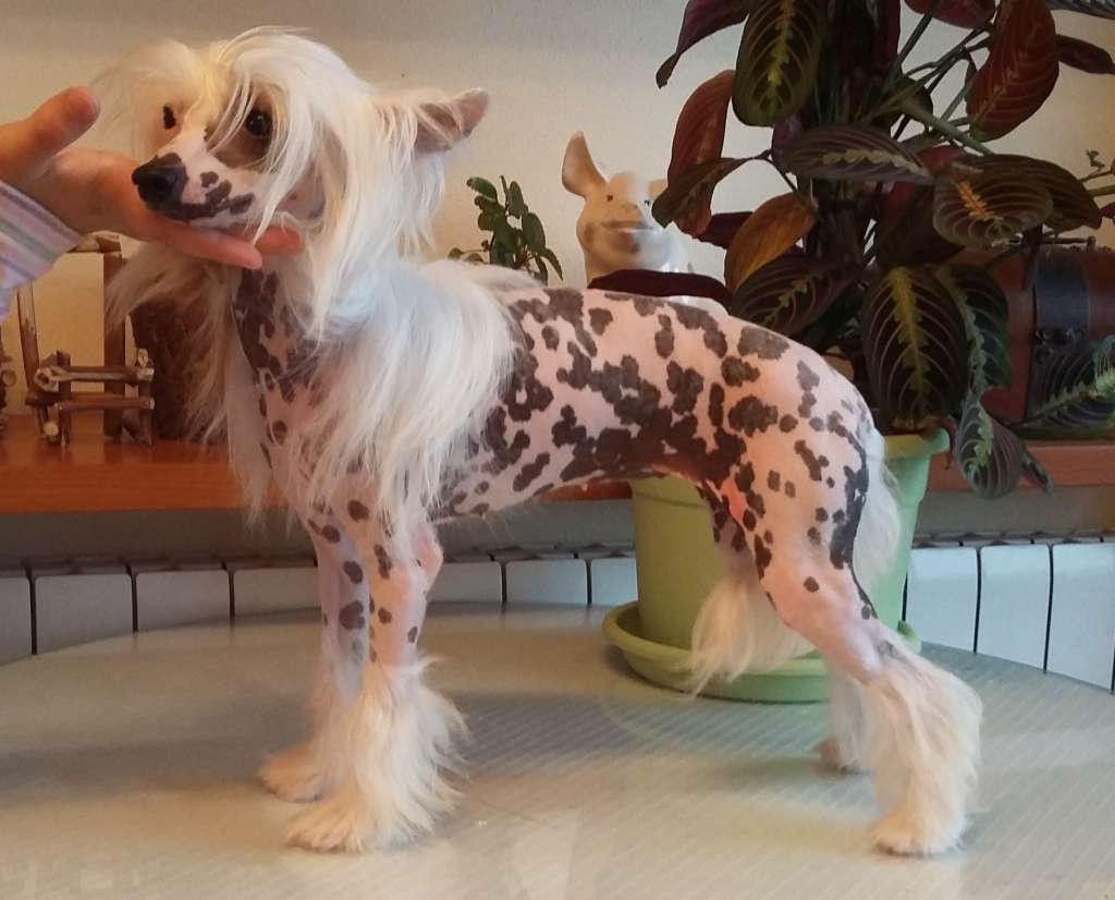 Entresierras All I Want for X-mas is You