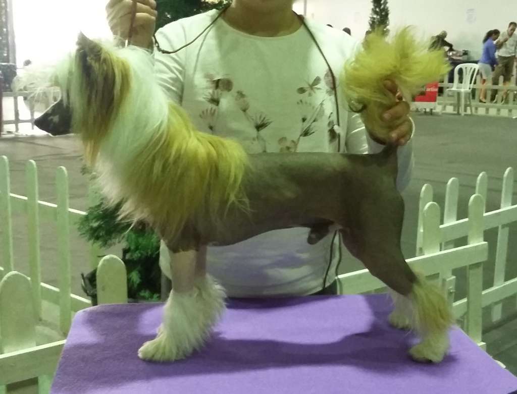 Entresierras A Baby Just Like You