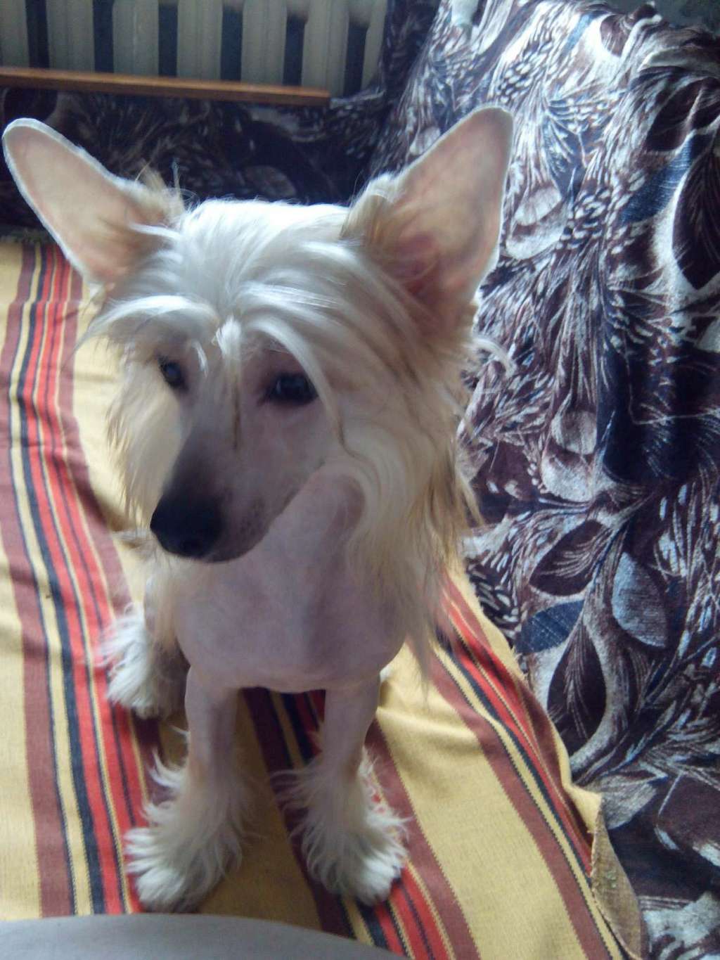 Naimuluna Line Rob Roy