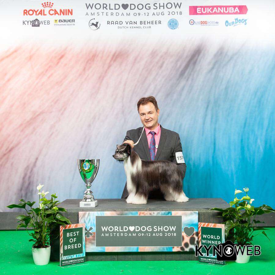 Jamming's Extravagant