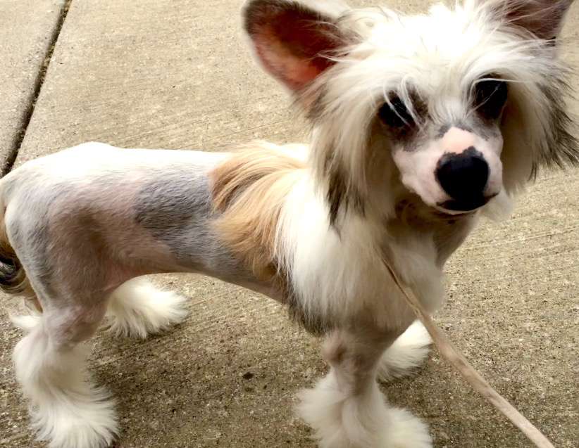 Sterling Somebody's Watching Me