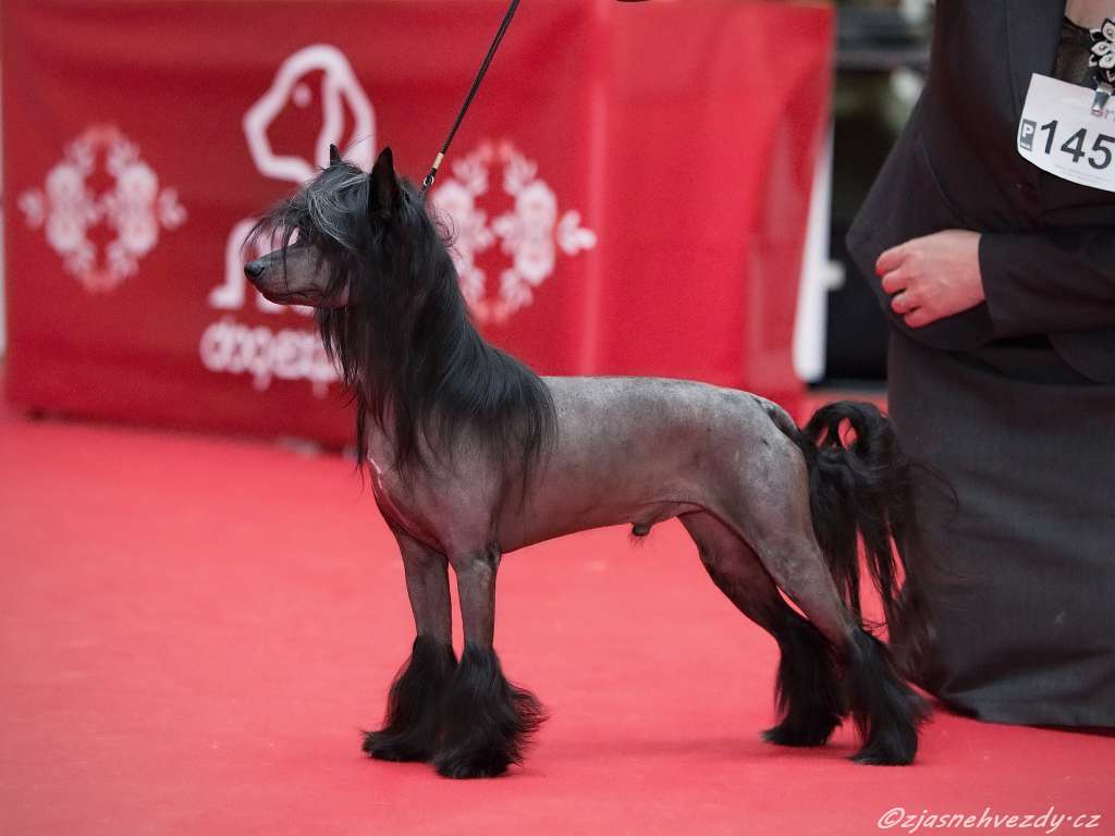 Yam Mey's Cosa Nostra