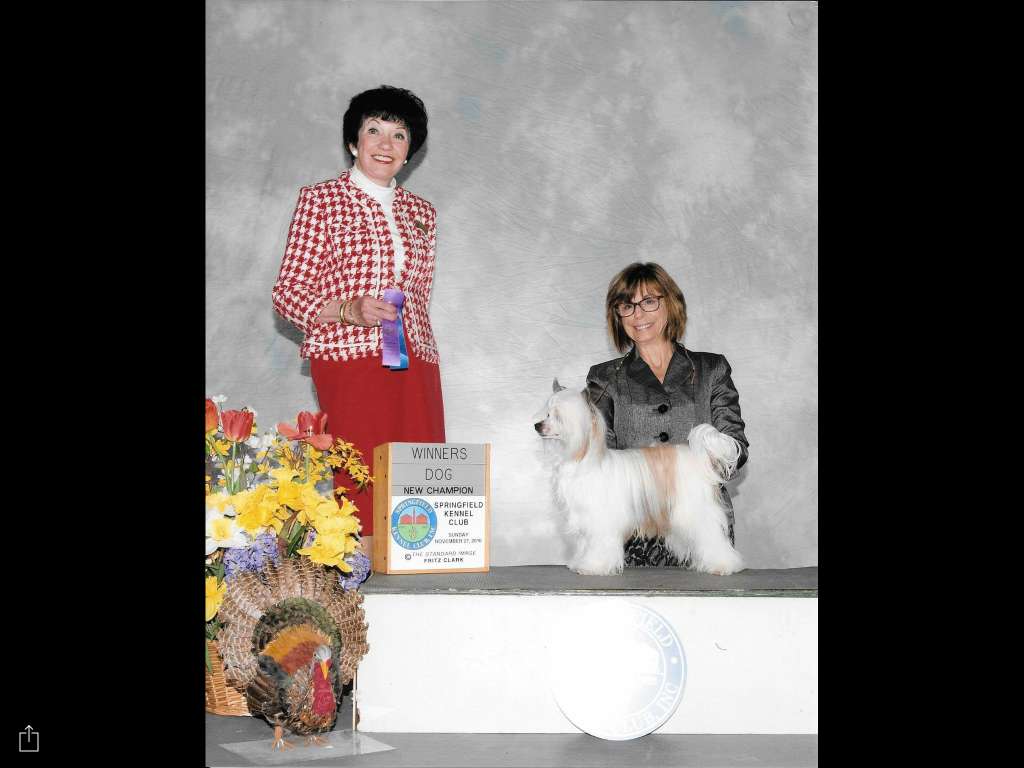 Colliwood's the sun is eclipsed by the moon