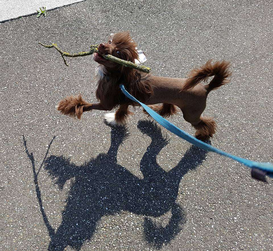 Taï Mandchou's Largo Winch