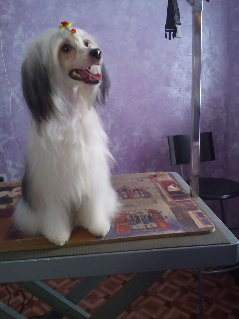 Nefritjvyi BUDDA Florece Light