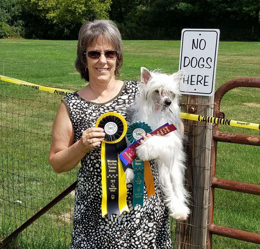 Sterling We Will Never Be Apart