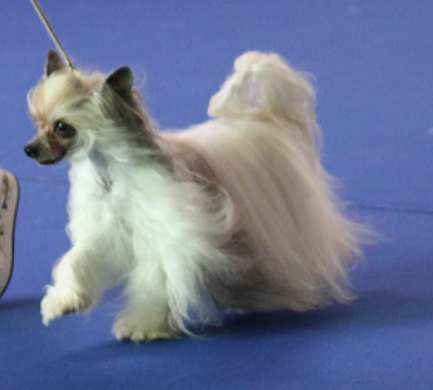 Lullaby of Birdland des Zéphyrs de l'Olympe