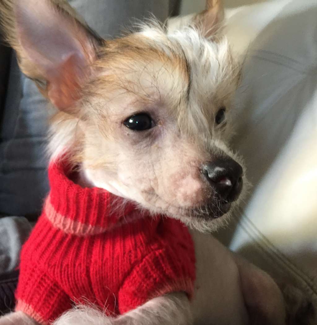 Gardine Break the Cycle