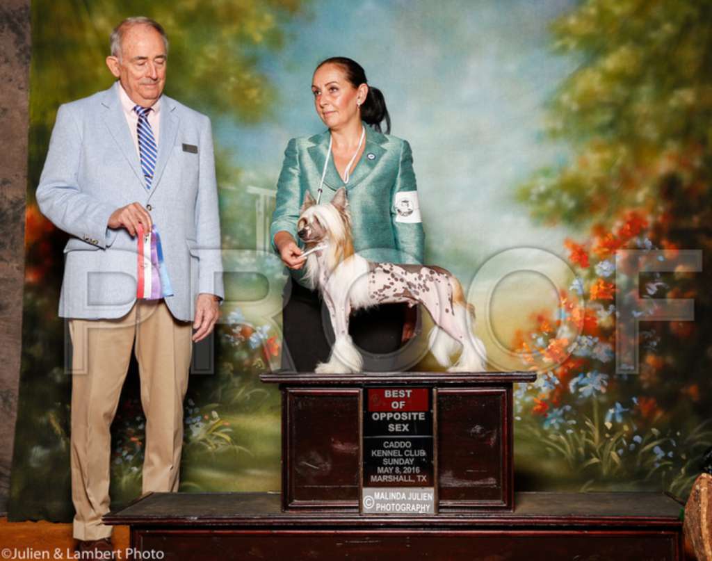 Striding No Trash In My Trailer