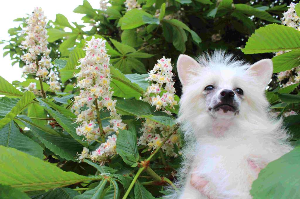 Amur incredible and Natalie' s beauty