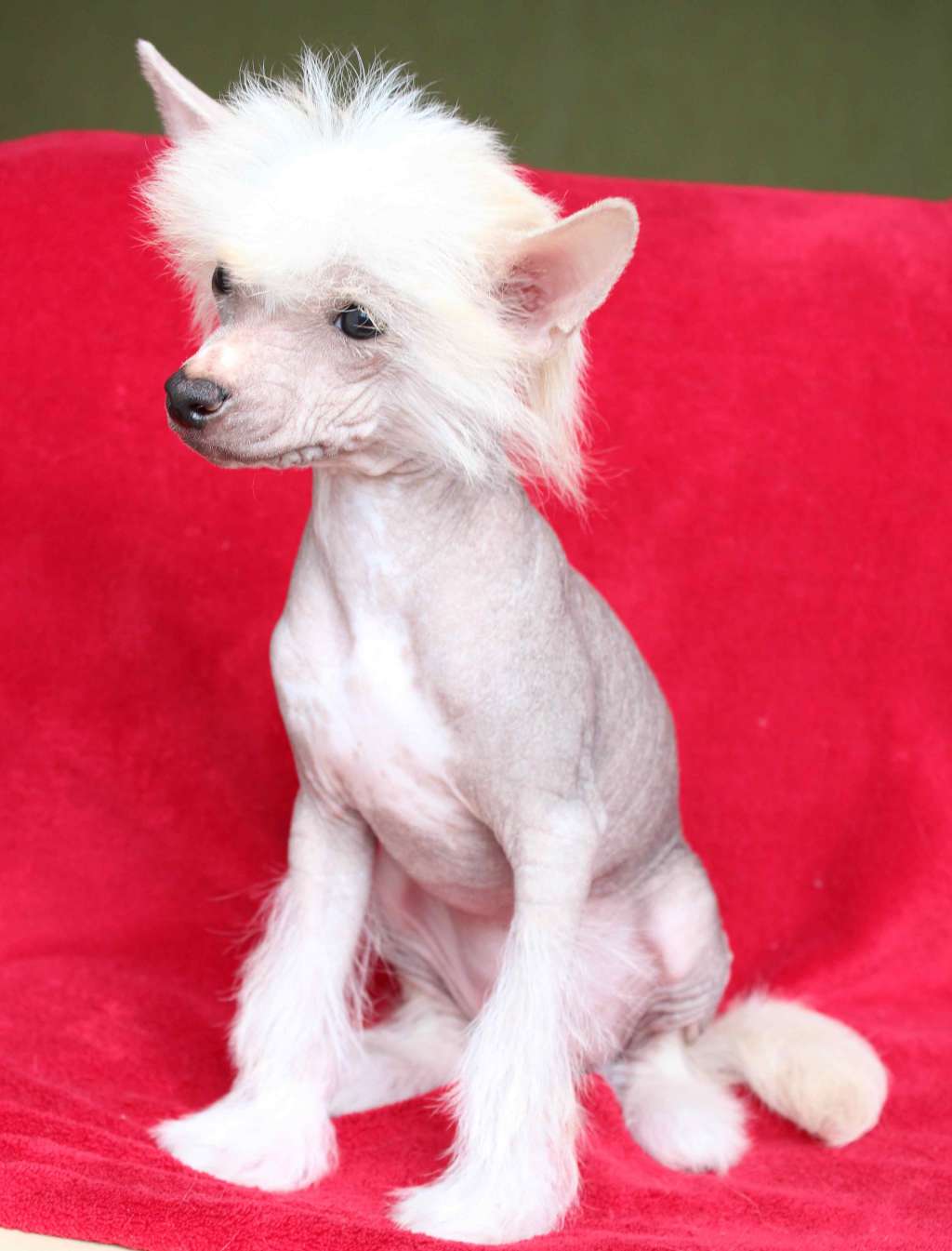 AMIA and Natalie' s beauty