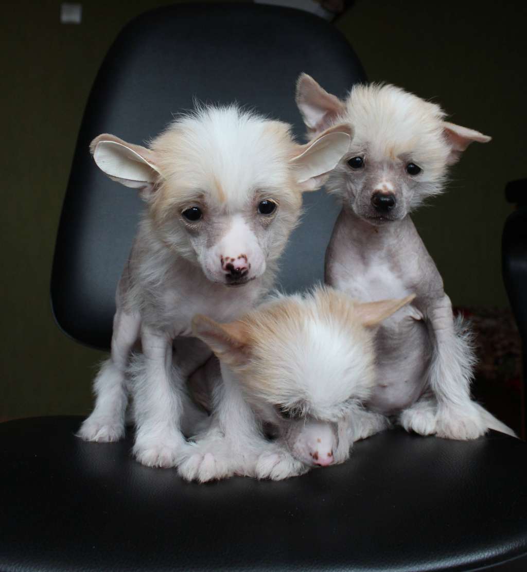 Amelia is wonderful and Natalie' s beauty