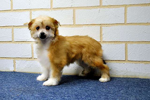 Ksolo Club Ya Mi Mota