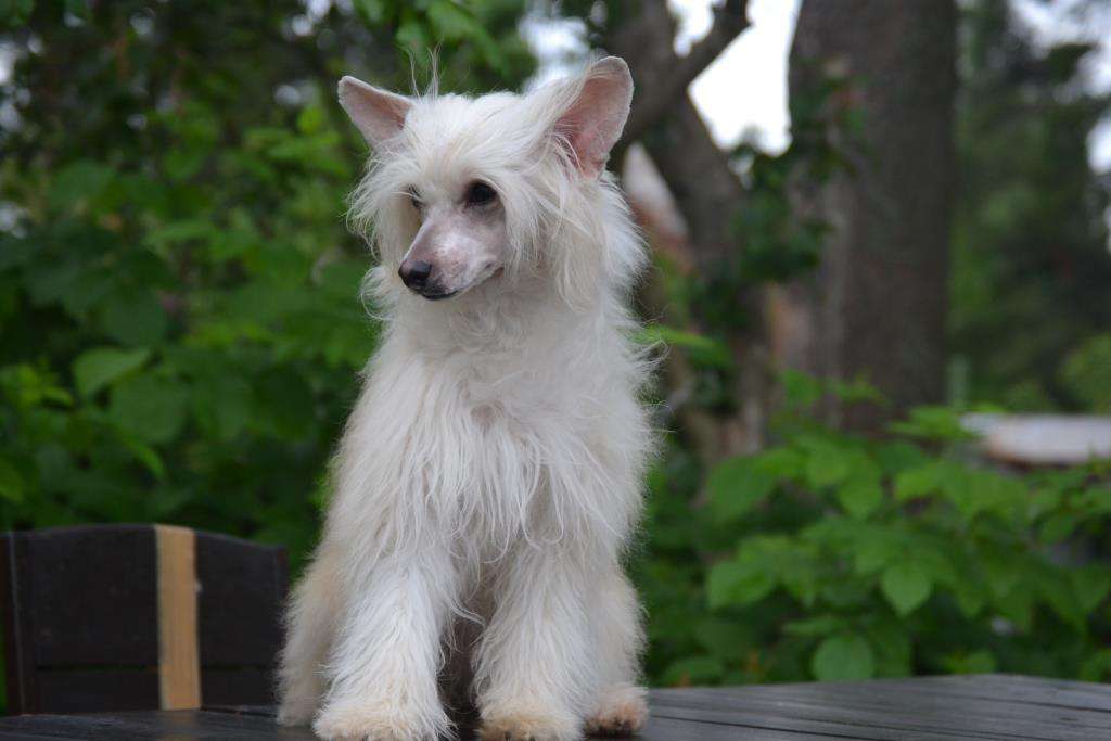 Naleks Art Tsintsinnati