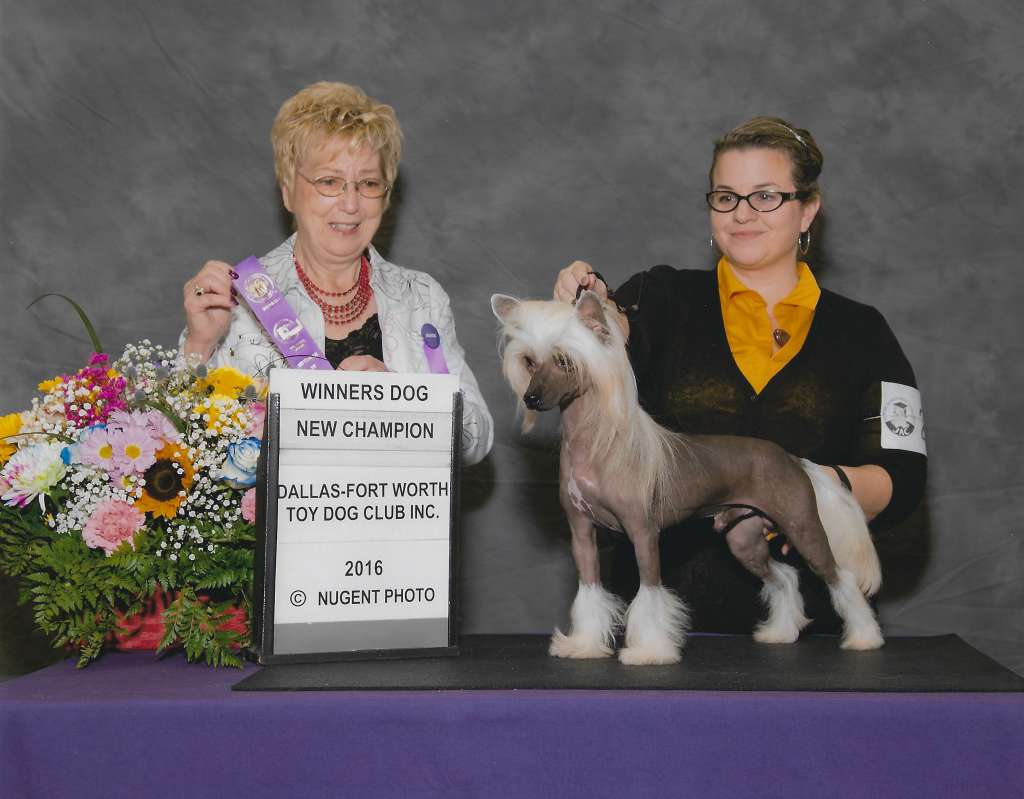 Cabaret Dasha Thunder Down Under SOM