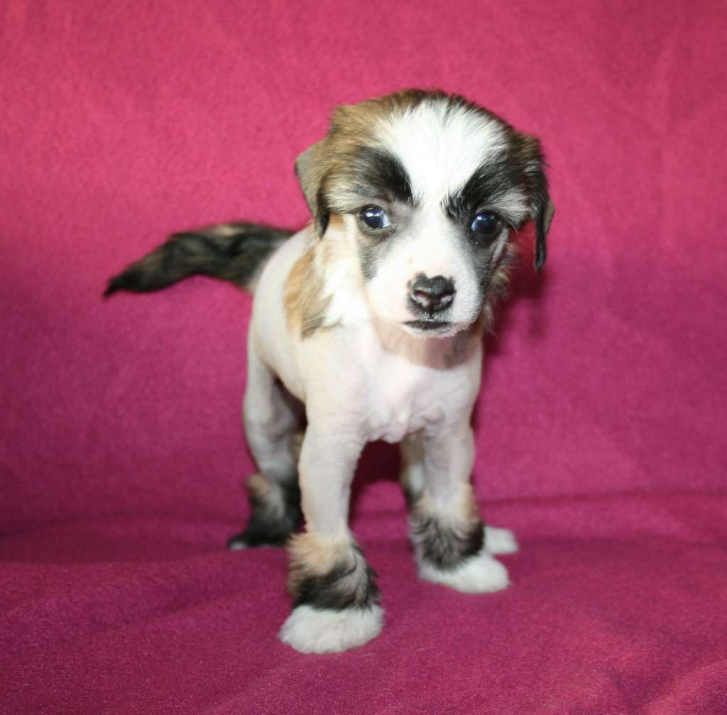 Proud Pony Love Yourself