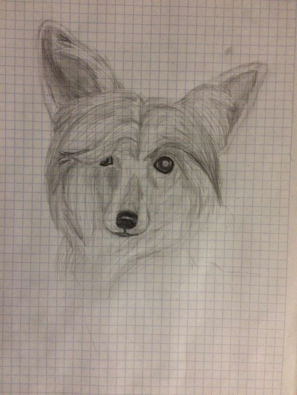 Volga Viner Santa Mi Corazón