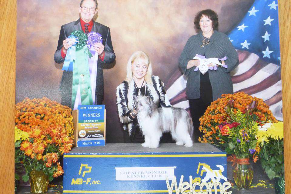 GCh Cloud Nine's Maribou Feather