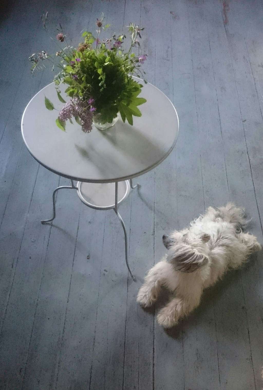 Giandujan Hearts and Kisses