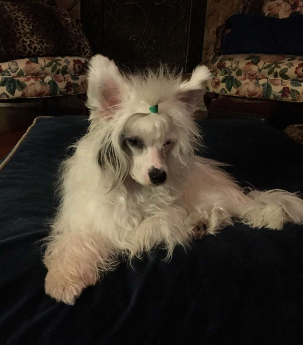 Gems Blood Diamond of Leibwache