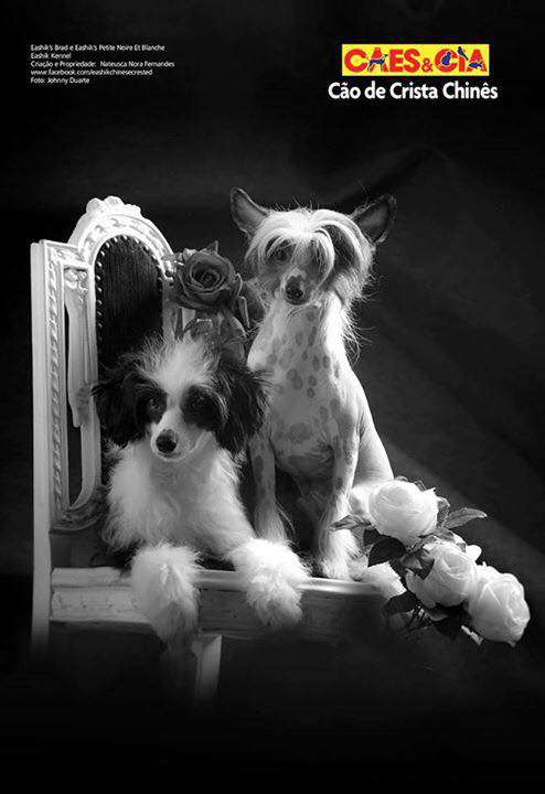 Eashik's Petite Noire  Et Blanche