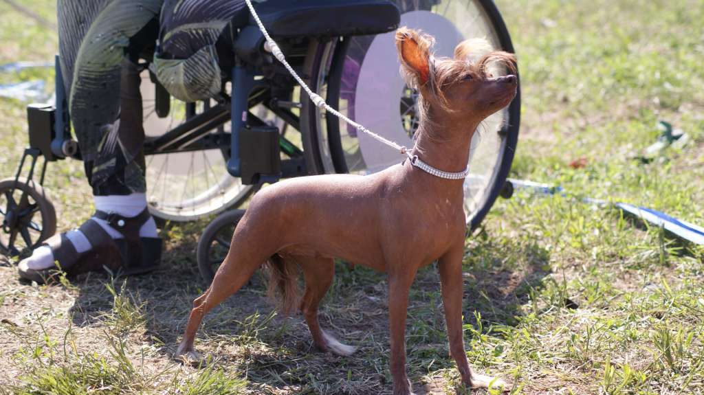 Miss Madmuazel Alyssa