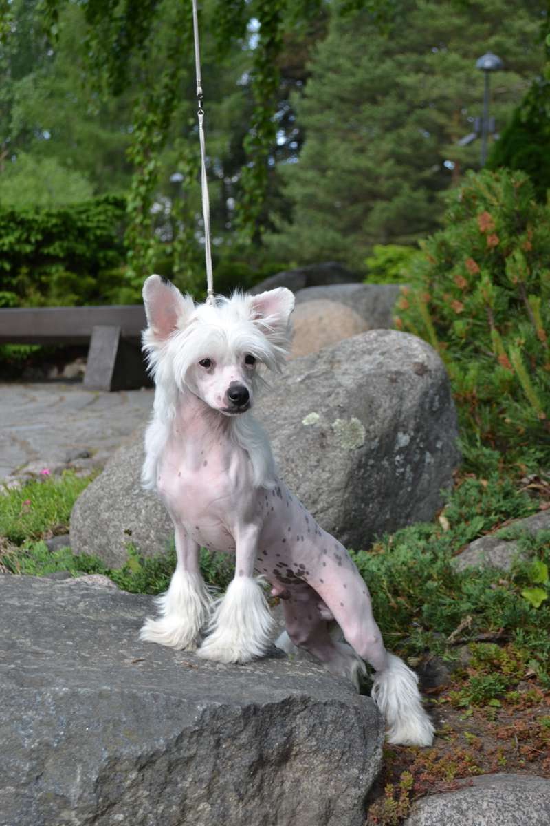 Valanyan Fifty Shades Hotter