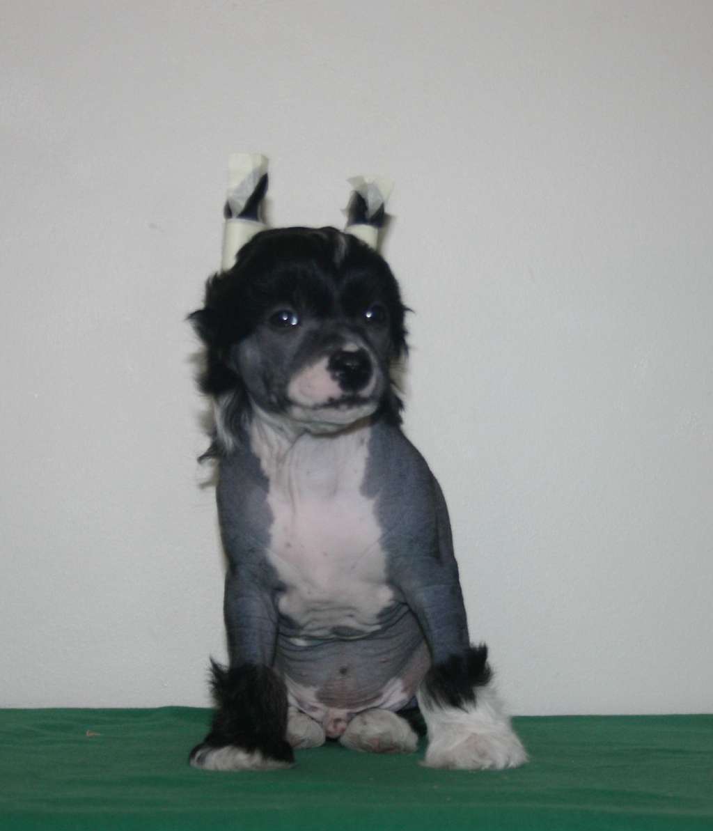 Valanyan Look Good Naked