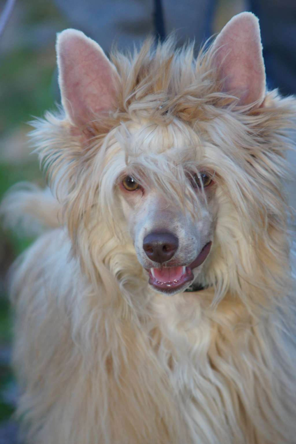 Tymek Just Like Summer