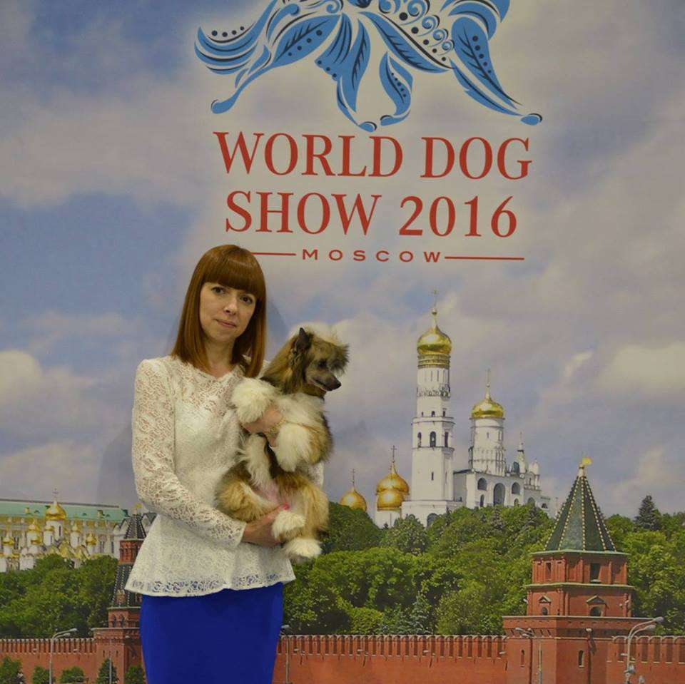 Hohlatyi Glamur Evra Love Prestizh