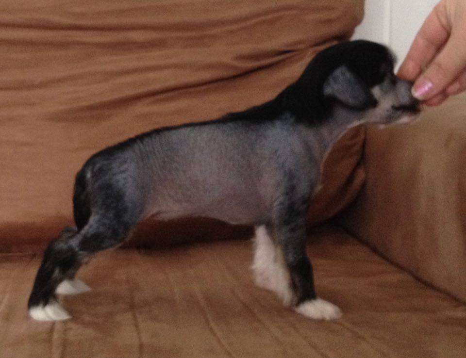 Bemu's Greatest Love Of All