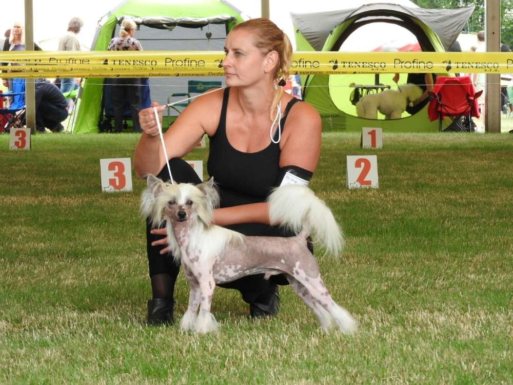 Jch. Xanthos Cool Lady