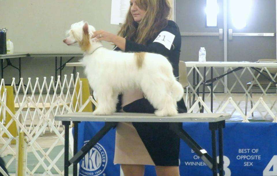 Delende The Real Deal!