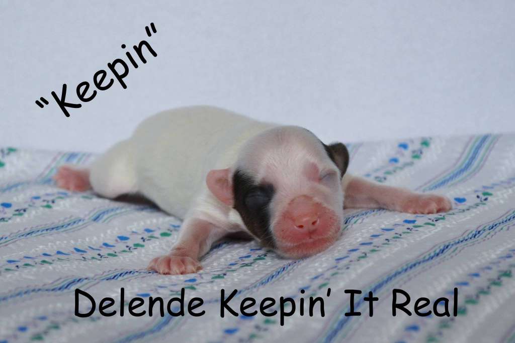 Delende Keepin It Real!